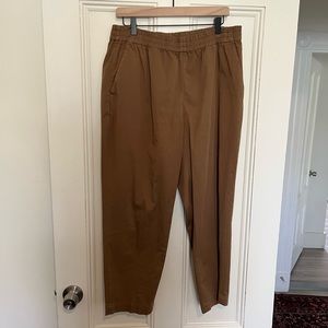 Everlane Easy Chino
